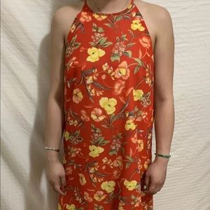 Jack mulqueen dress women